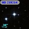 HD 239214