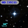 HD 239215