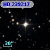 HD 239217