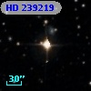 HD 239219
