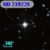 HD 239228