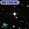 HD 239245