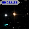 HD 239156