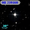 HD 239160