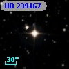 HD 239167