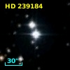 HD 239184