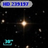 HD 239197