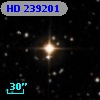 HD 239201