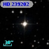 HD 239202