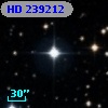 HD 239212