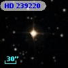 HD 239220