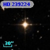 HD 239224