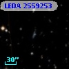 LEDA 2559253
