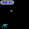YLW 13