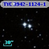 TYC 3942-1124-1
