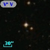 V* V2131 Oph