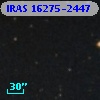 IRAS 16275-2447