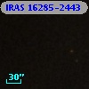 IRAS 16285-2443
