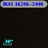 IRAS 16286-2448