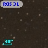 ROS 31