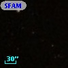SFAM 131