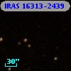 IRAS 16313-2439