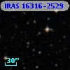 IRAS 16316-2529