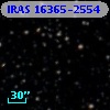 IRAS 16365-2554