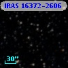 IRAS 16372-2606
