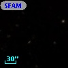 SFAM 206