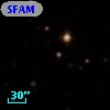 SFAM 209
