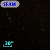SFAM 213