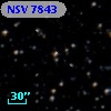 NSV  7843