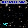 IRAS 16391-2602