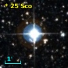 *  25 Sco