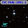 TYC 3946-1981-1