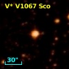 V* V1067 Sco