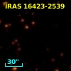 IRAS 16423-2539