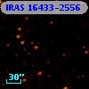 IRAS 16433-2556