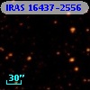 IRAS 16437-2556