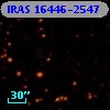 IRAS 16446-2547