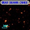 IRAS 16448-2603