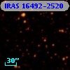 IRAS 16492-2520