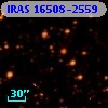 IRAS 16508-2559