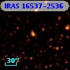 IRAS 16537-2536