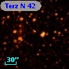 Terz N   42