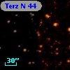 Terz N   44