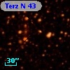 Terz N   43