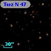 Terz N   47