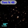 Terz N   49